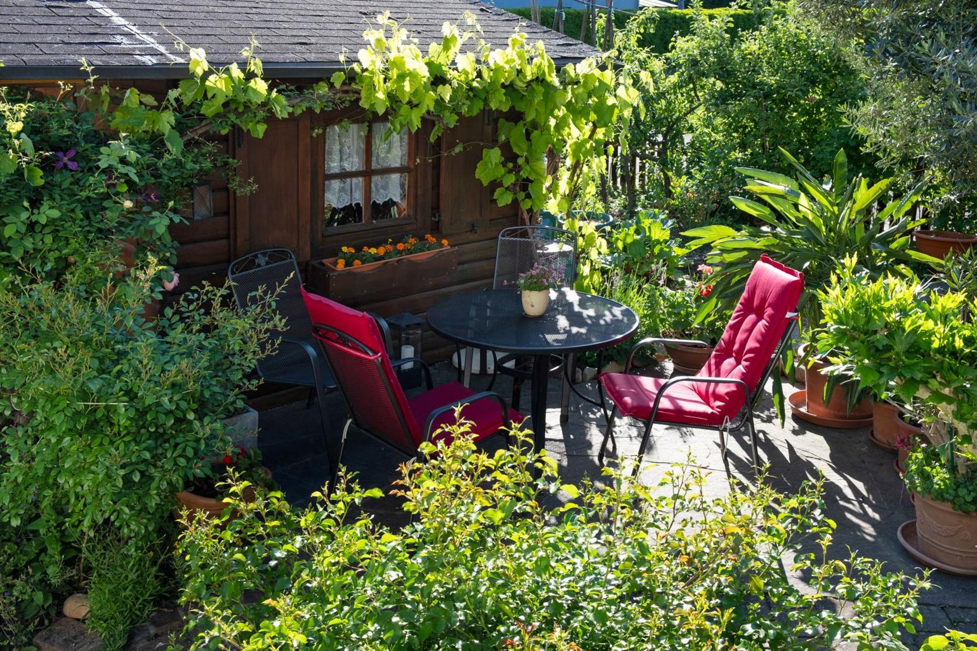 Ferienwohnung Burger Sasbach am Kaiserstuhl Kültér fotó